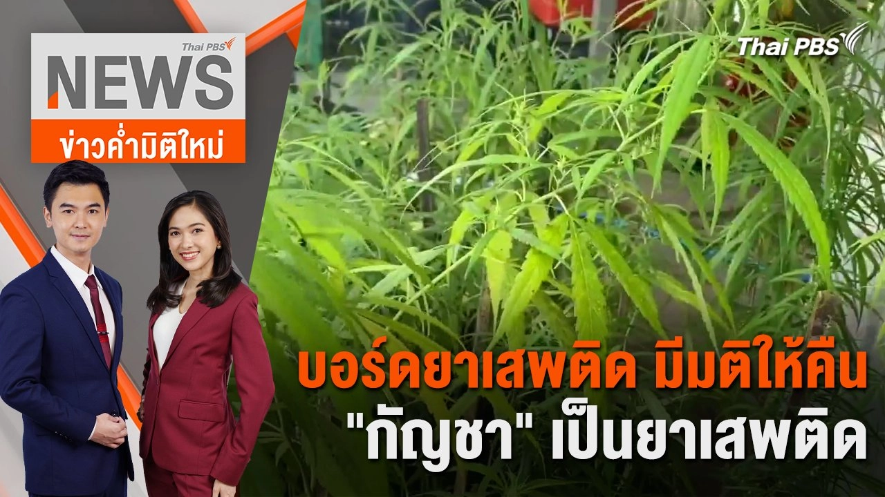 บอร์ดยาเสพติด มีมติให้คืน "กัญชา" เป็นยาเสพติด | 5 ก.ค. 67