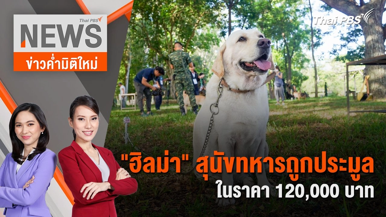 "ฮิลม่า" สุนัขทหารถูกประมูลในราคา 120,000 บาท |  6 ก.ค. 67