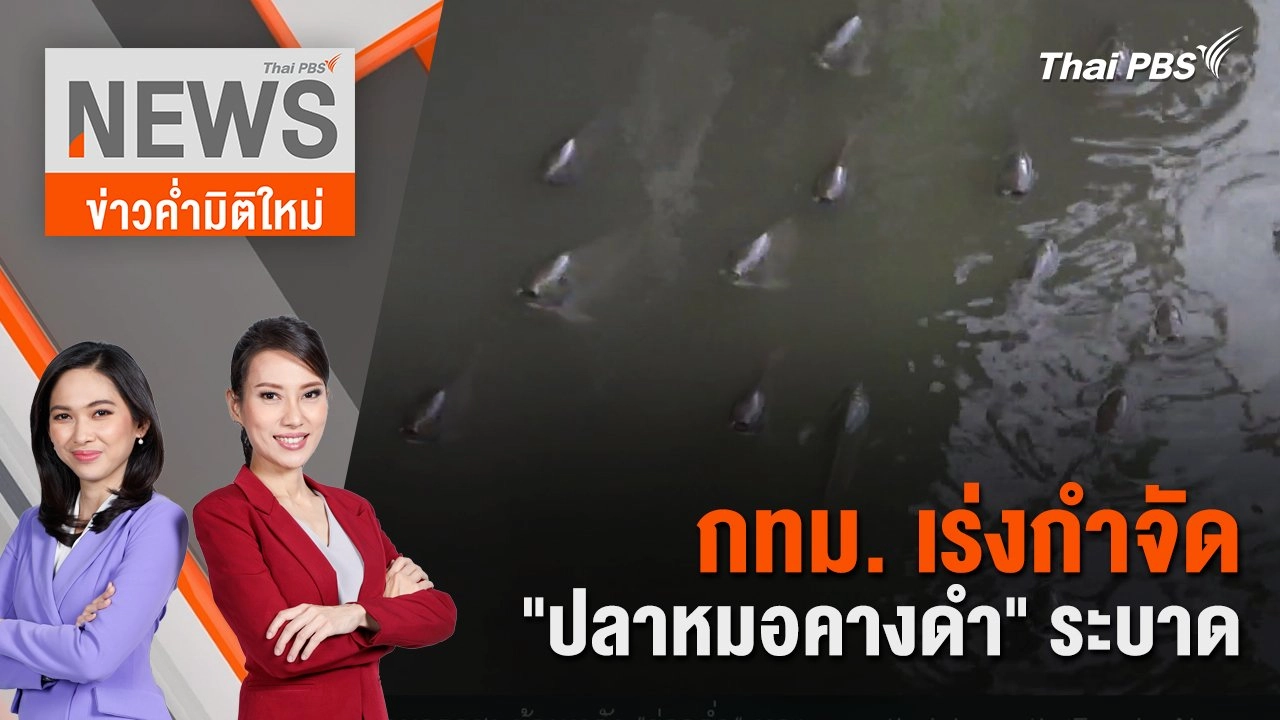 กทม. เร่งกำจัด "ปลาหมอคางดำ" ระบาด | 13 ก.ค. 67