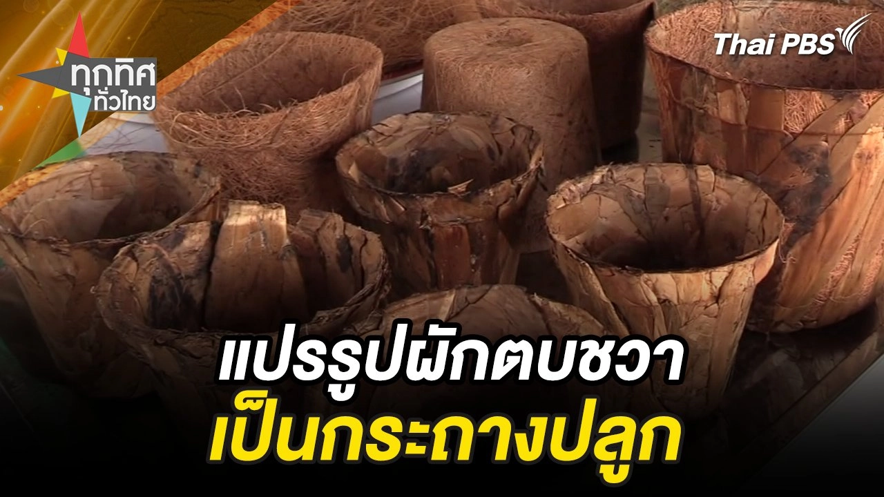 แปรรูปผักตบชวาเป็นกระถางปลูก จ.นครศรีธรรมราช