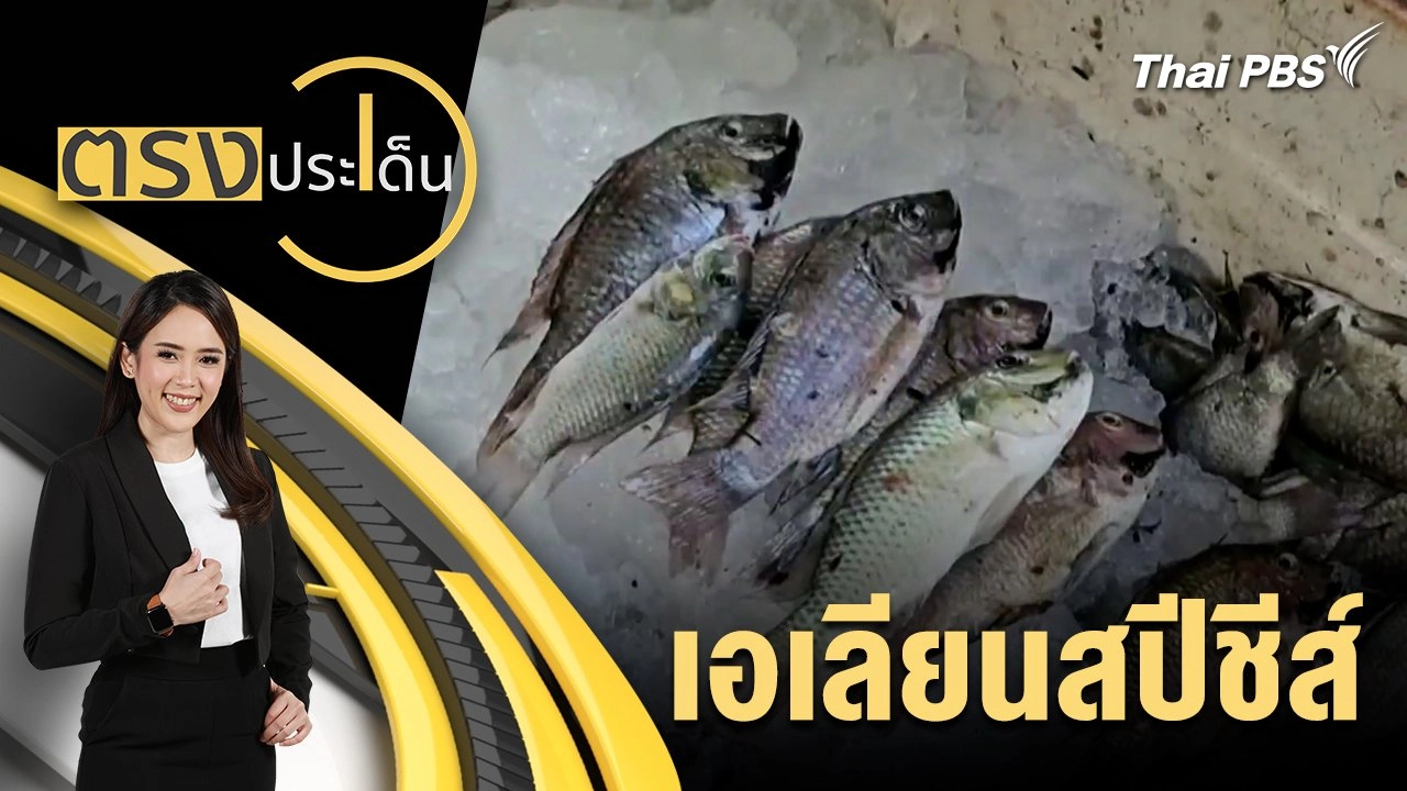 เอเลียนสปีชีส์