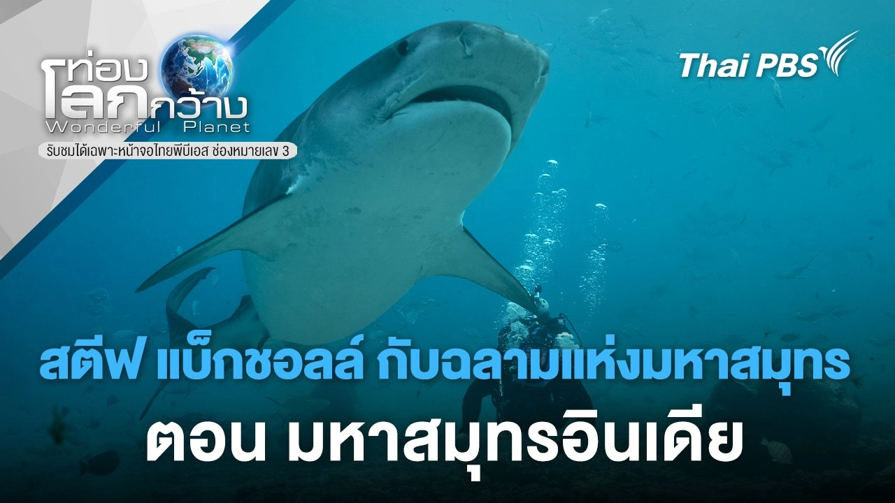 สตีฟ แบ็กชอลล์ กับฉลามแห่งมหาสมุทร ตอน มหาสมุทรอินเดีย