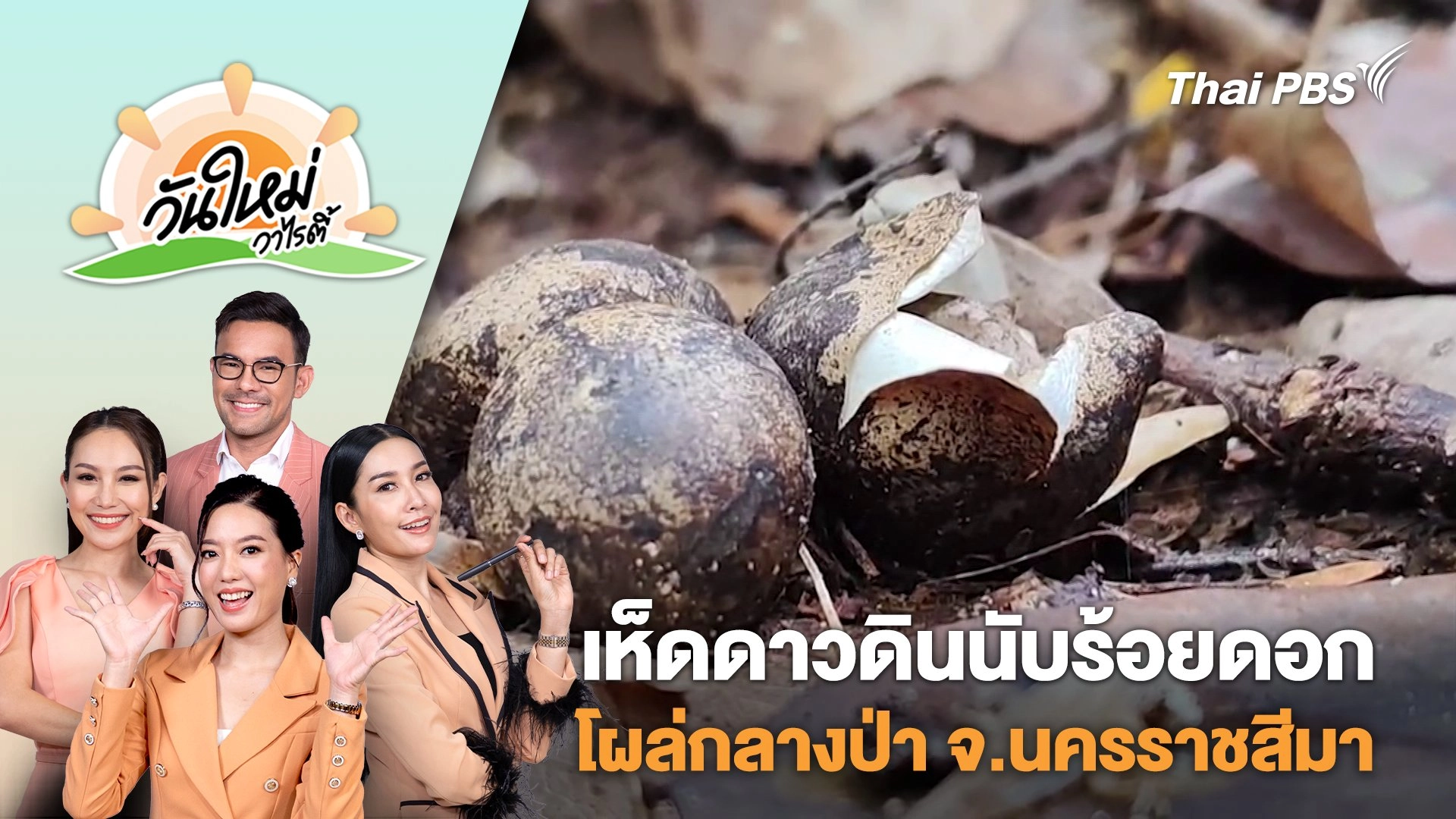เห็ดดาวดินนับร้อยดอกโผล่กลางป่า จ.นครราชสีมา | วันใหม่วาไรตี้ | 31 ต.ค. 67