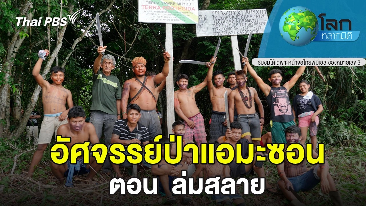 อัศจรรย์ป่าแอมะซอน  ตอน ล่มสลาย