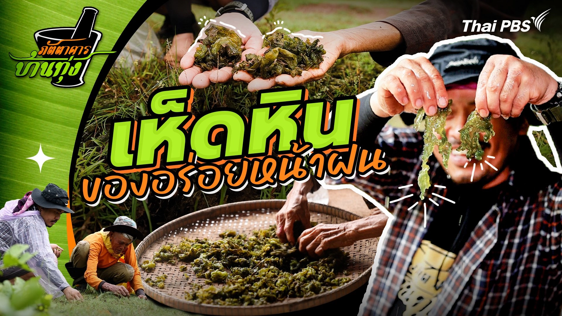 เห็ดหิน