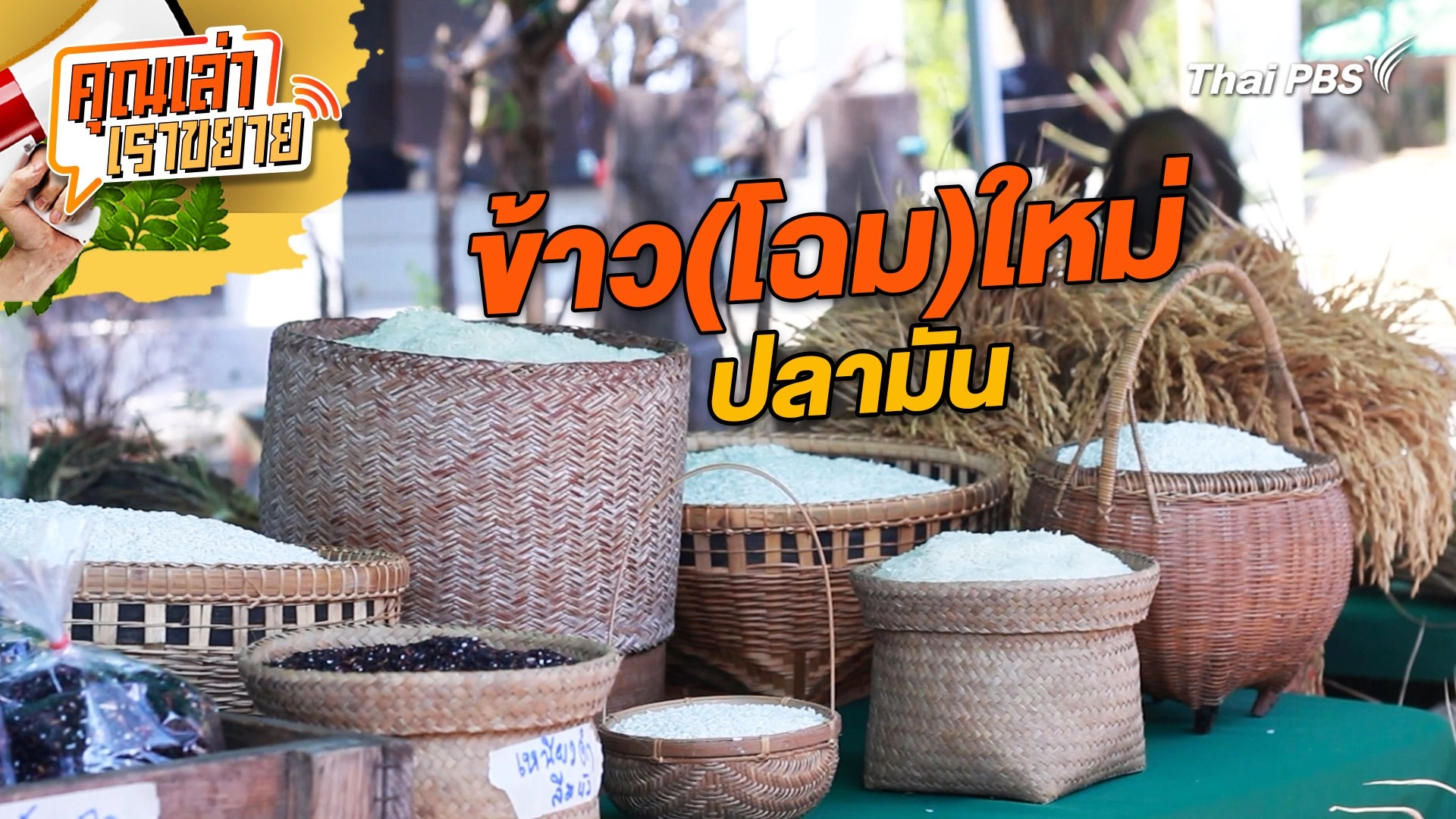 ข้าว(โฉม)ใหม่ ปลามัน