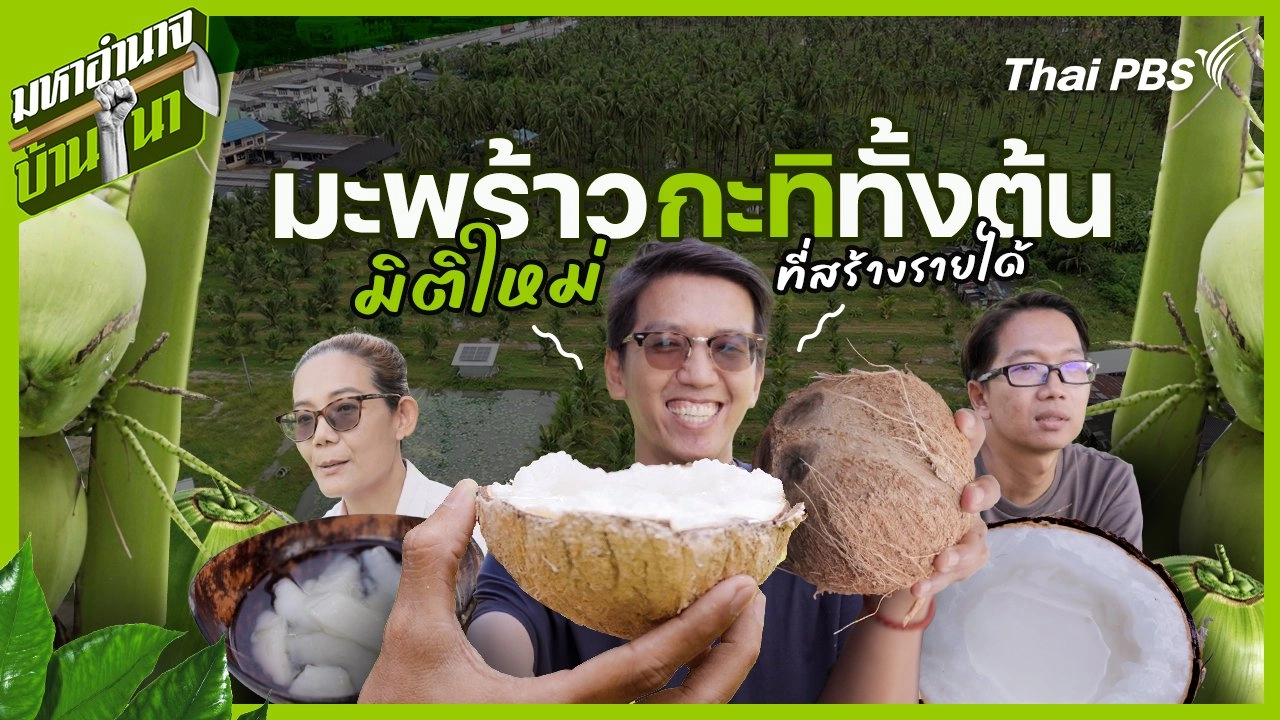 มะพร้าวกะทิทั้งต้น มิติใหม่ที่สร้างรายได้