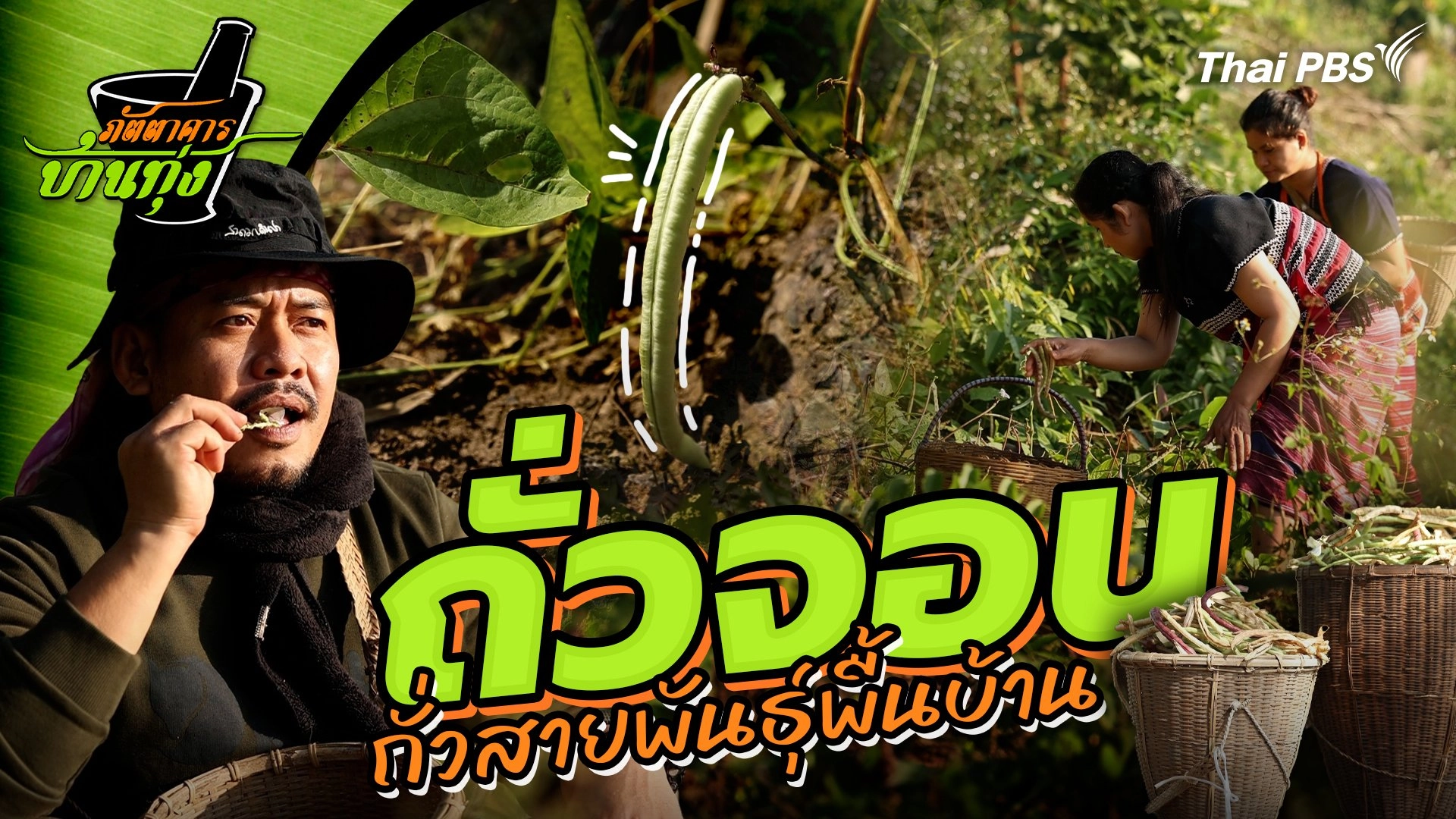 ถั่วจอน