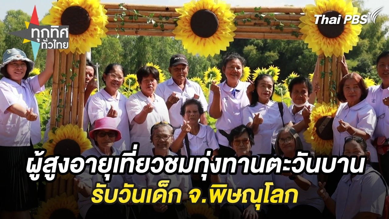 ผู้สูงอายุเที่ยวชมทุ่งทานตะวันบานรับวันเด็ก จ.พิษณุโลก