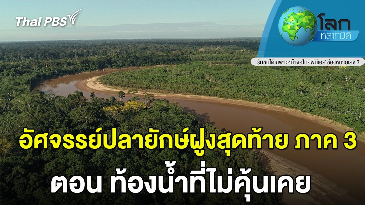 อัศจรรย์ปลายักษ์ฝูงสุดท้าย ตอน ท้องน้ำที่ไม่คุ้นเคย