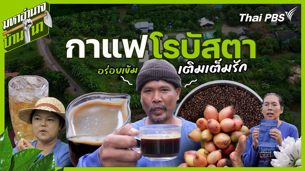 กาแฟโรบัสตา อร่อยเข้ม เติมเต็มรัก