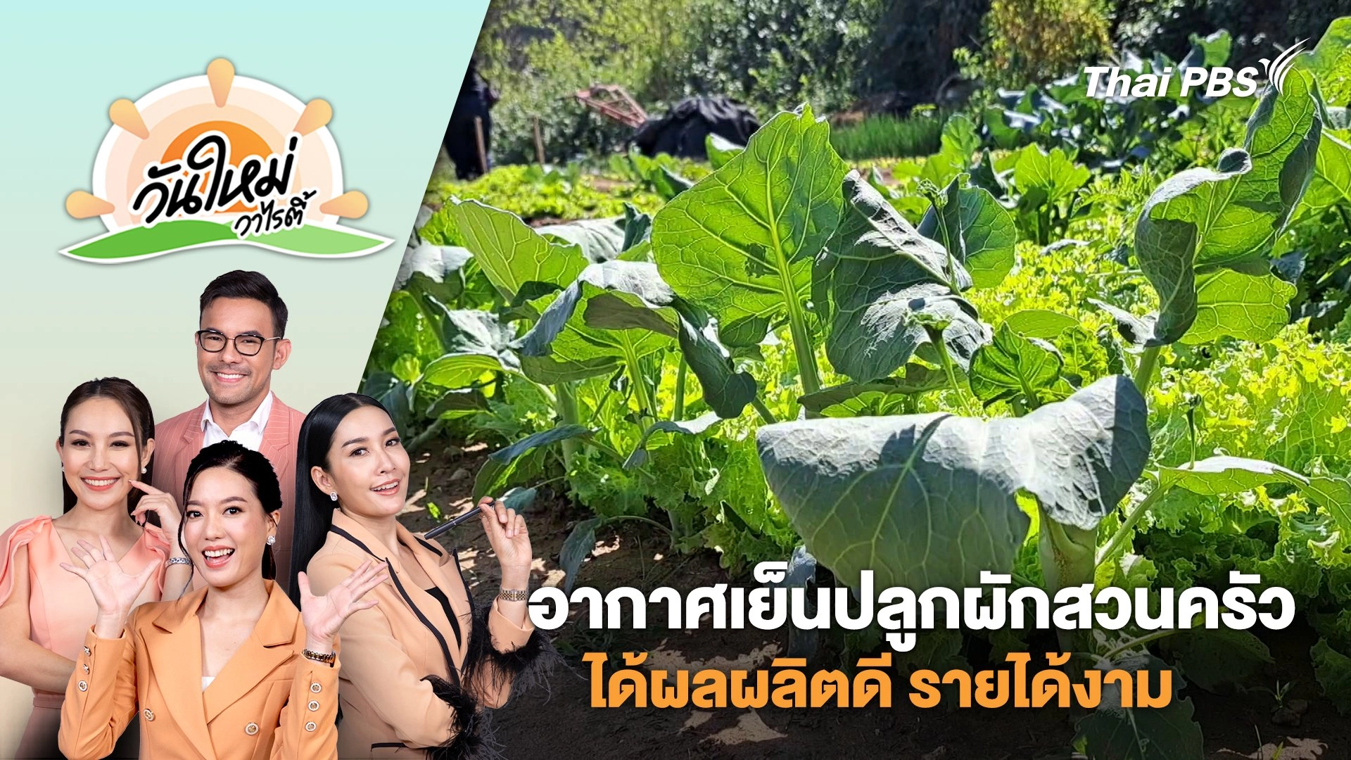 อากาศเย็นเกษตรกรปลูกผักสวนครัวได้ผลผลิตดี รายได้งาม จ.มหาสารคาม | วันใหม่วาไรตี้ | 15 ม.ค. 68