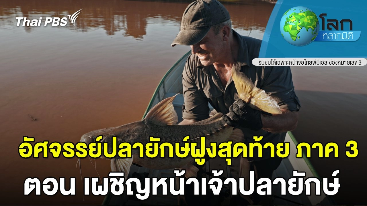 อัศจรรย์ปลายักษ์ฝูงสุดท้าย ตอน เผชิญหน้าเจ้าปลายักษ์