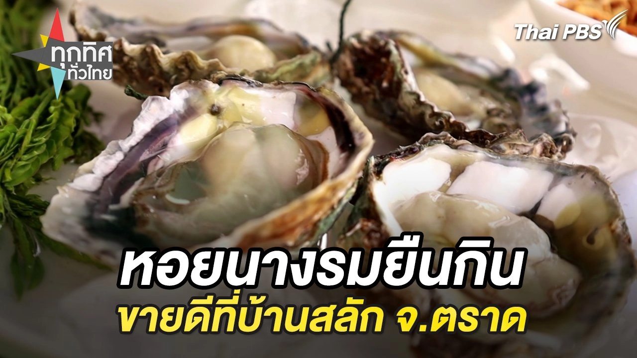 หอยนางรมยืนกินขายดีที่บ้านสลัก จ.ตราด