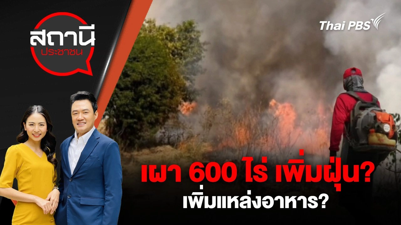 เผา 600 ไร่ เพิ่มฝุ่น? เพิ่มแหล่งอาหาร?