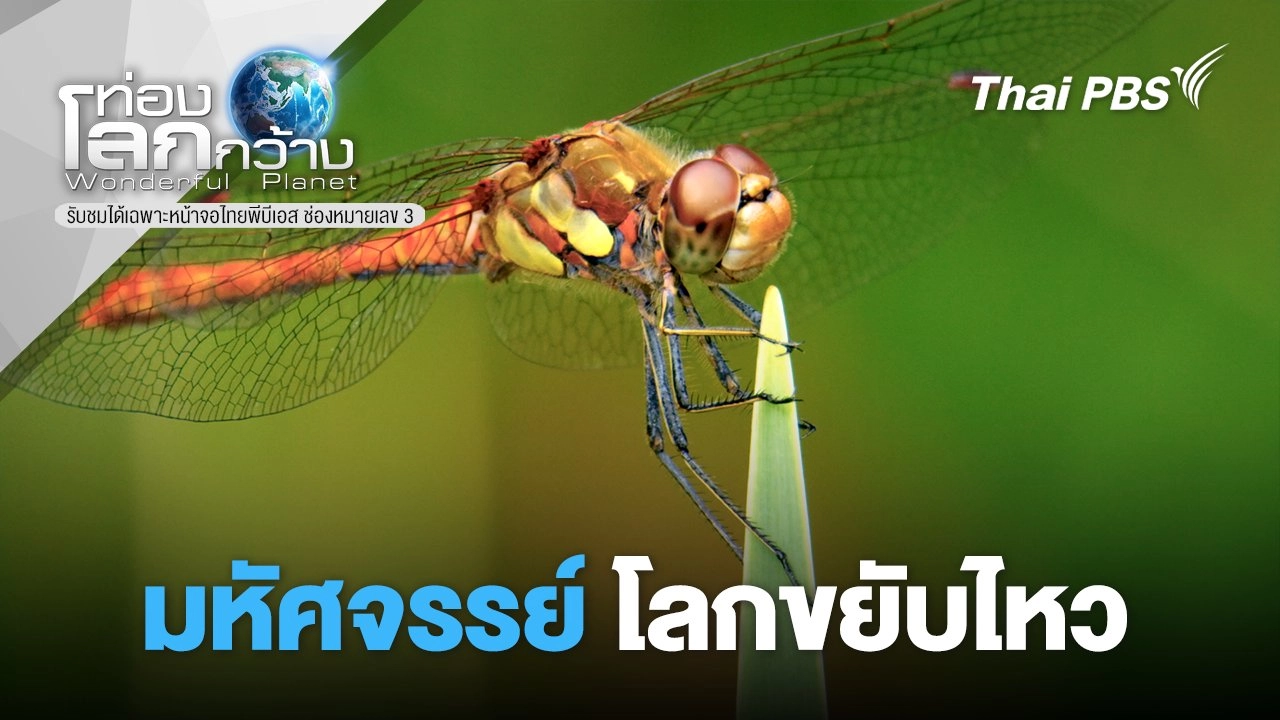 มหัศจรรย์โลกขยับไหว