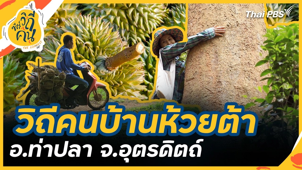 วิถีคนบ้านห้วยต้า อ.ท่าปลา จ.อุตรดิตถ์