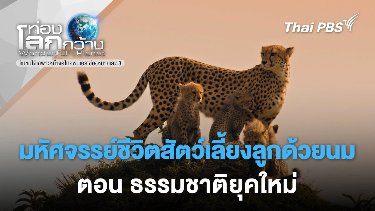 มหัศจรรย์ชีวิตสัตว์เลี้ยงลูกด้วยนม ตอน  ธรรมชาติยุคใหม่