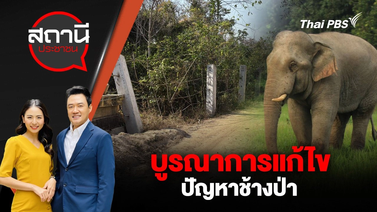 บูรณาการแก้ไขปัญหาช้างป่า