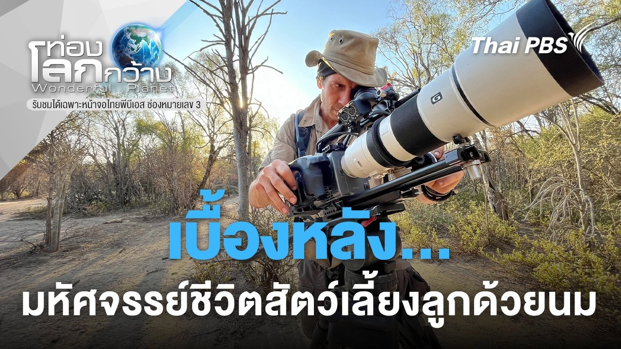 เบื้องหลัง...มหัศจรรย์ชีวิตสัตว์เลี้ยงลูกด้วยนม