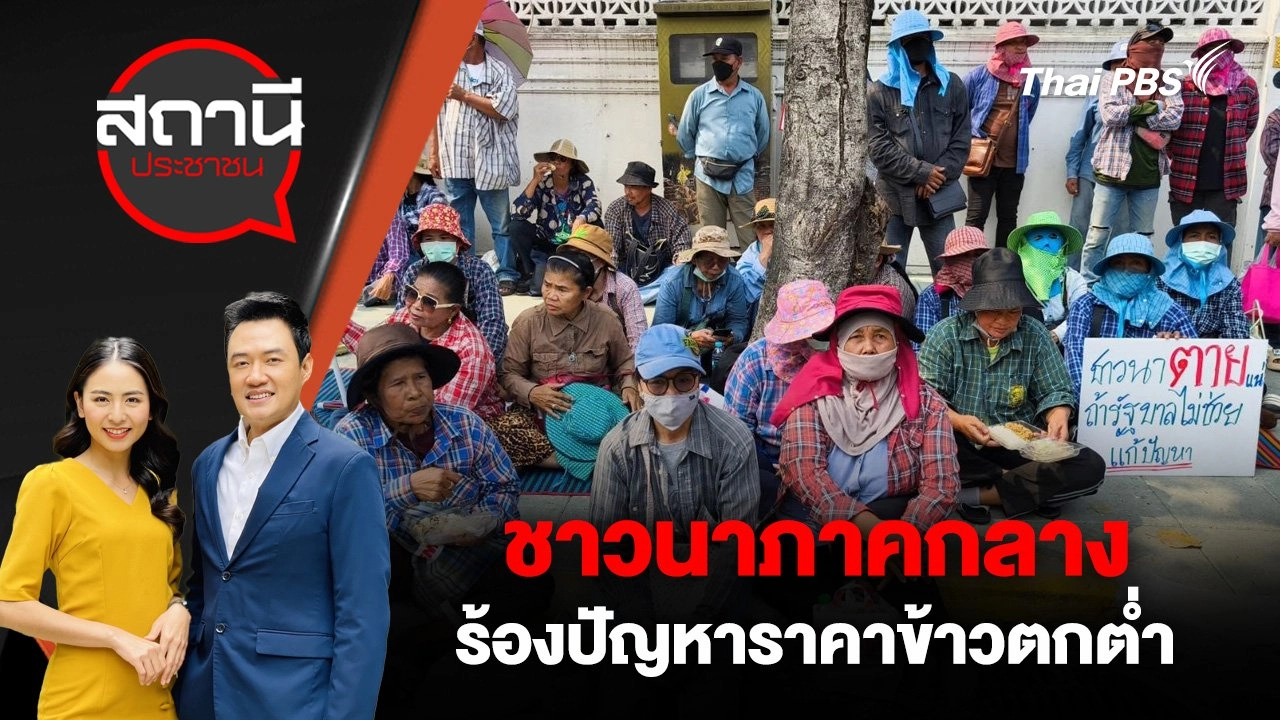 ชาวนาภาคกลางร้องปัญหาราคาข้าวตกต่ำ