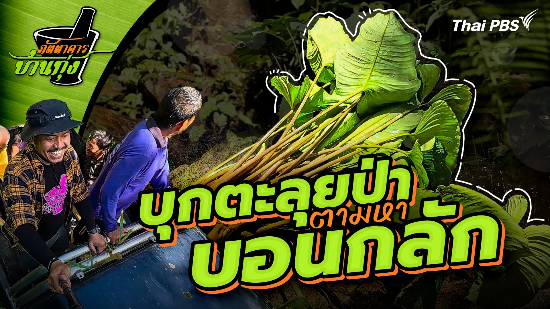 บอนกลัก