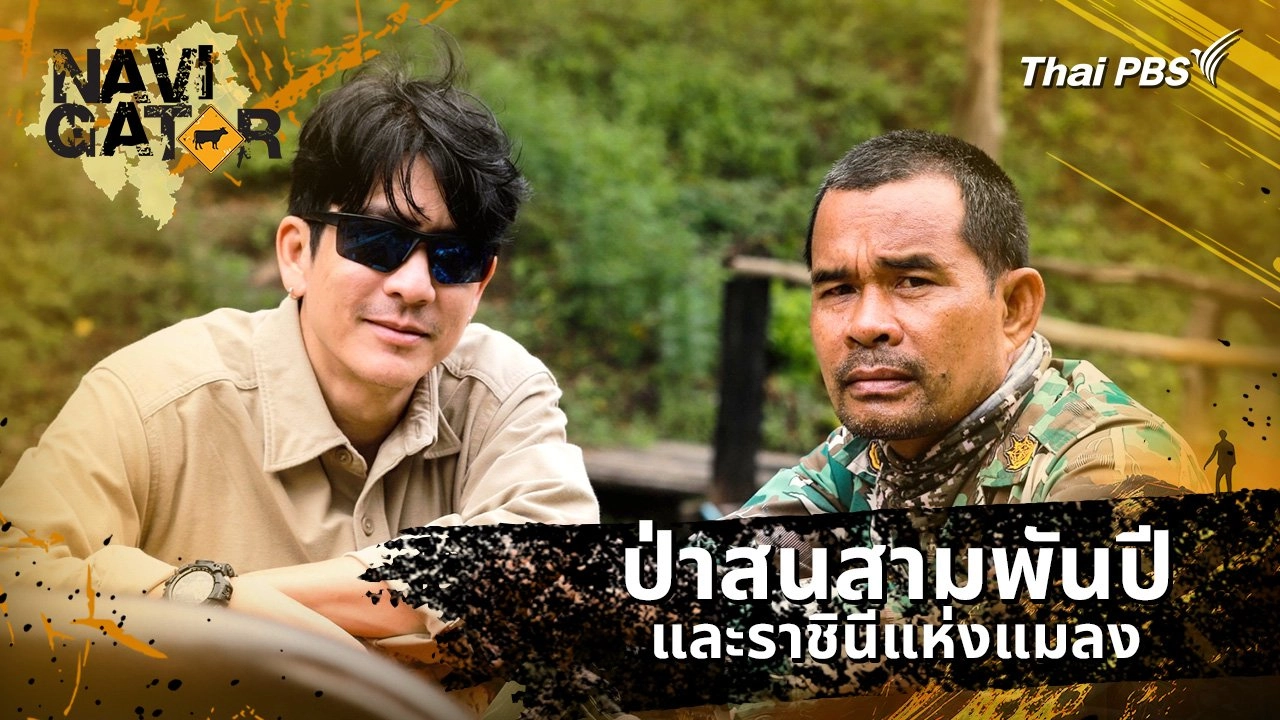 ป่าสนสามพันปี และราชินีแห่งแมลง