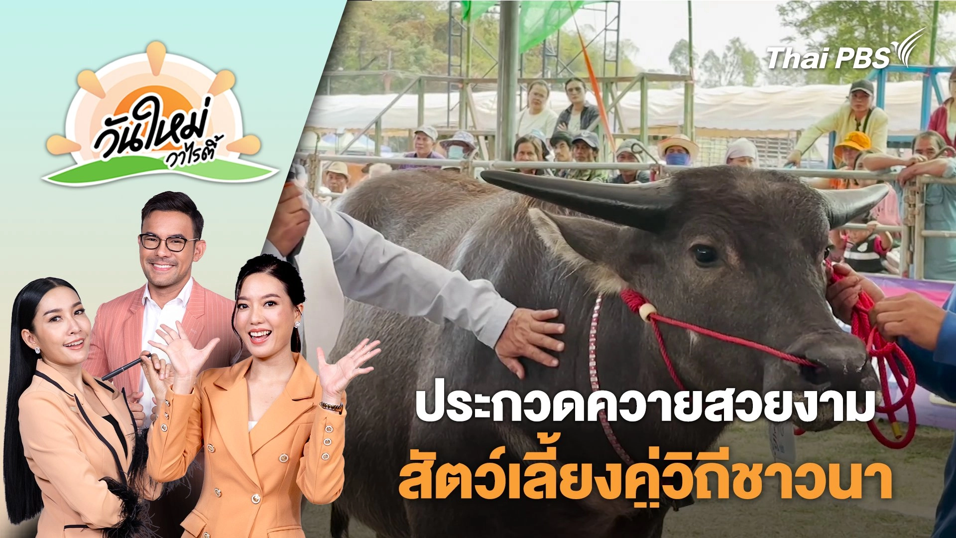 ประกวดควายสวยงาม สัตว์เลี้ยงคู่วิถีชาวนา สร้างมูลค่าให้เกษตรกรไทย | วันใหม่วาไรตี้ | 25 ก.พ. 68