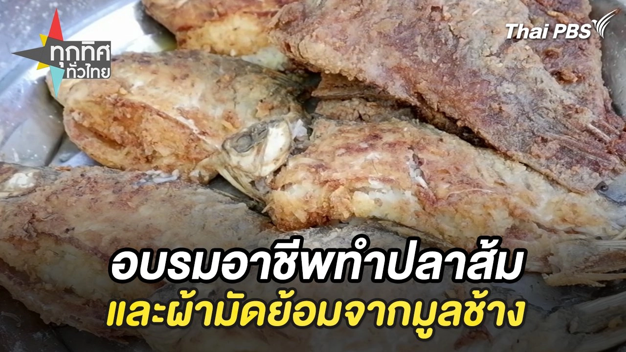 อบรมอาชีพทำปลาส้มและผ้ามัดย้อมจากมูลช้าง จ.ประจวบคีรีขันธ์