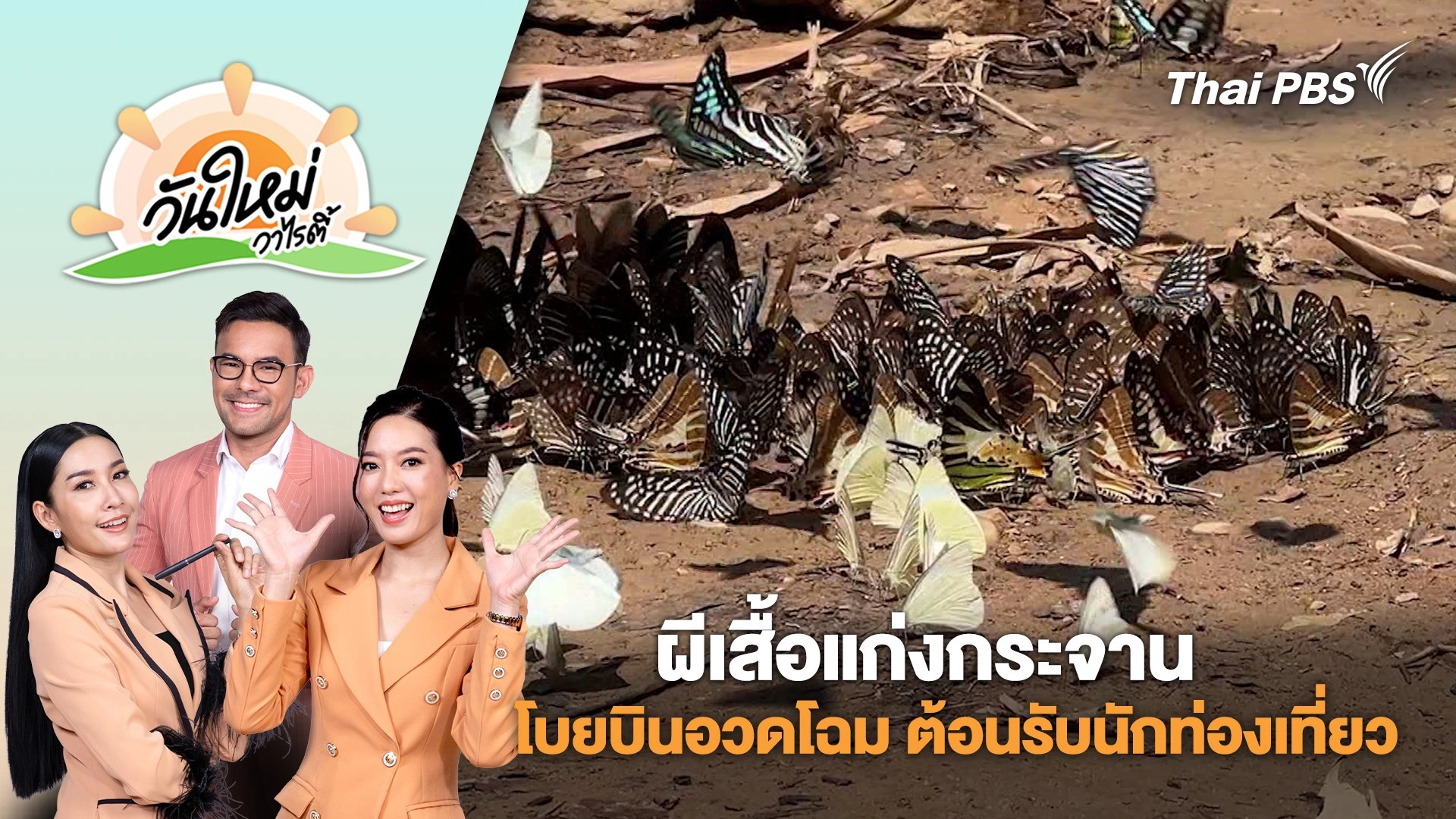 ผีเสื้อแก่งกระจาน โบยบินอวดโฉม ต้อนรับนักท่องเที่ยว | วันใหม่วาไรตี้ |  3 มี.ค. 68