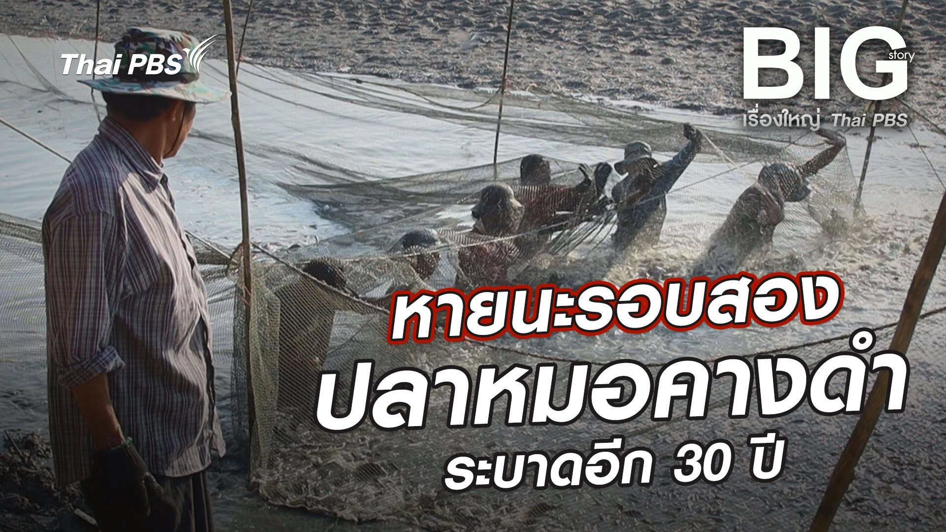 หายนะรอบสองปลาหมอคางดำระบาดอีก 30 ปี
