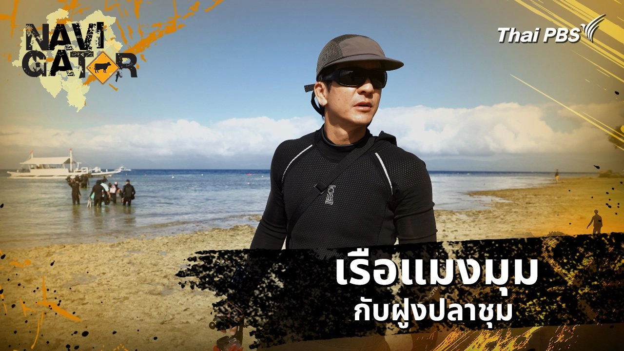 เรือแมงมุมกับฝูงปลาชุม