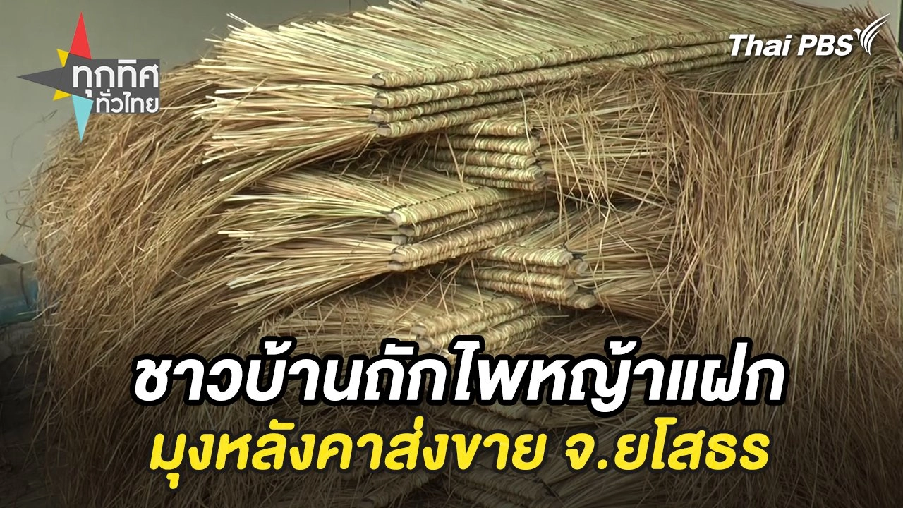 ชาวบ้านถักไพหญ้าแฝกมุงหลังคาส่งขาย จ.ยโสธร