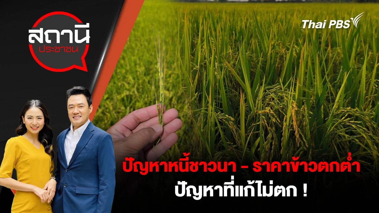 ปัญหาหนี้ชาวนา - ราคาข้าวตกต่ำ ปัญหาที่แก้ไม่ตก !