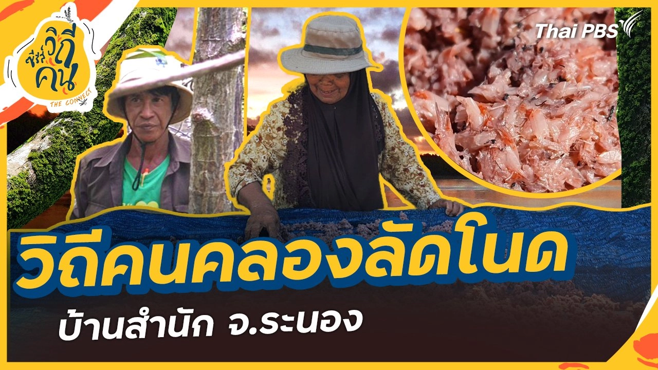 วิถีคนคลองลัดโนด บ้านสำนัก ต.ม่วงกลวง อ.กะเปอร์ จ.ระนอง