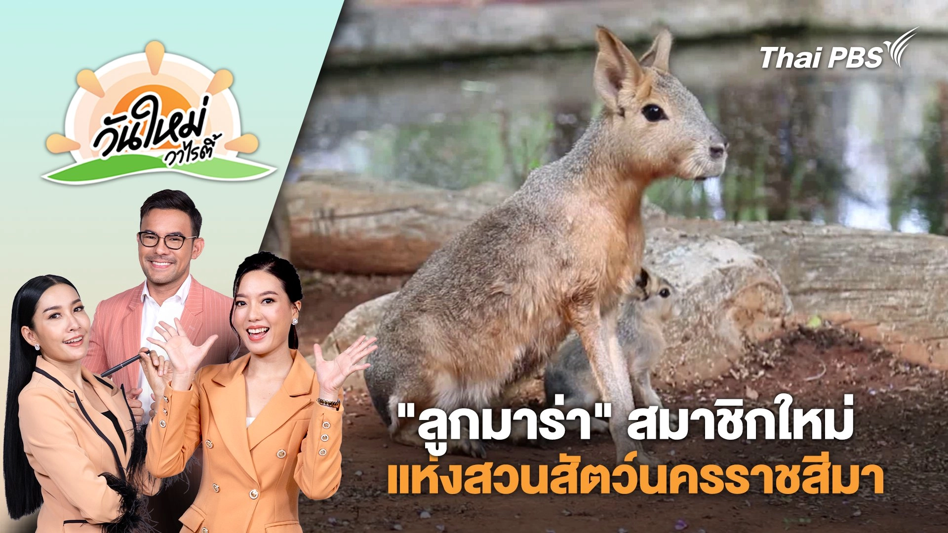 นักท่องเที่ยวแห่ชม "ลูกมาร่า" สมาชิกใหม่แห่งสวนสัตว์นครราชสีมา | วันใหม่วาไรตี้ | 25 มี.ค. 68