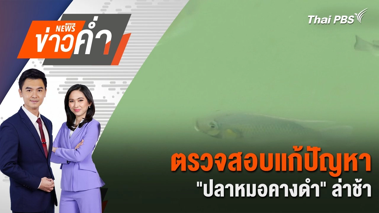 ตรวจสอบแก้ปัญหา “ปลาหมอคางดำ” ล่าช้า | 20 มี.ค. 68