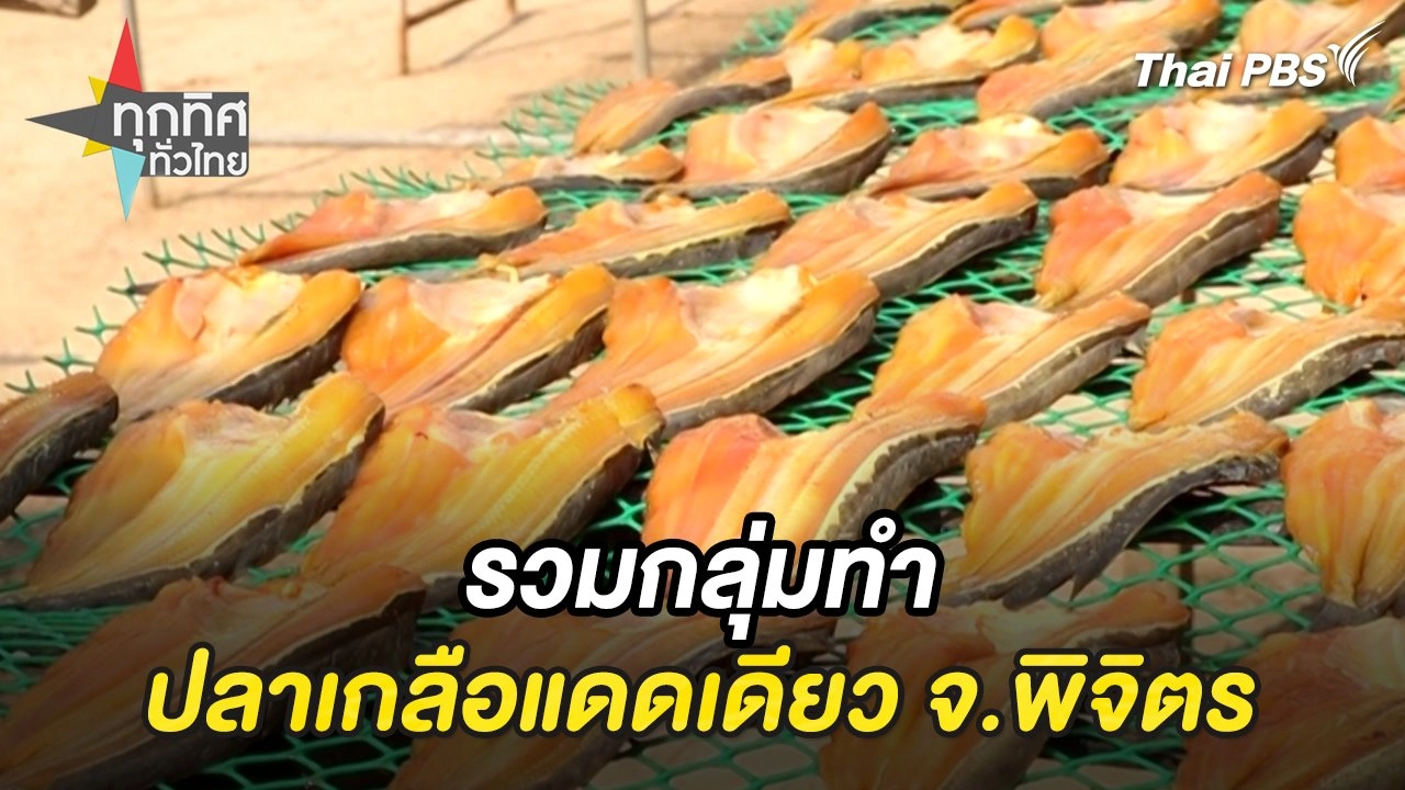 รวมกลุ่มทำปลาเกลือแดดเดียว จ.พิจิตร