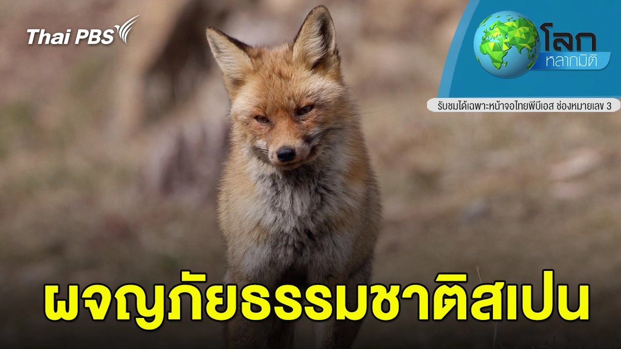 ท่องโลกธรรมชาติสเปน