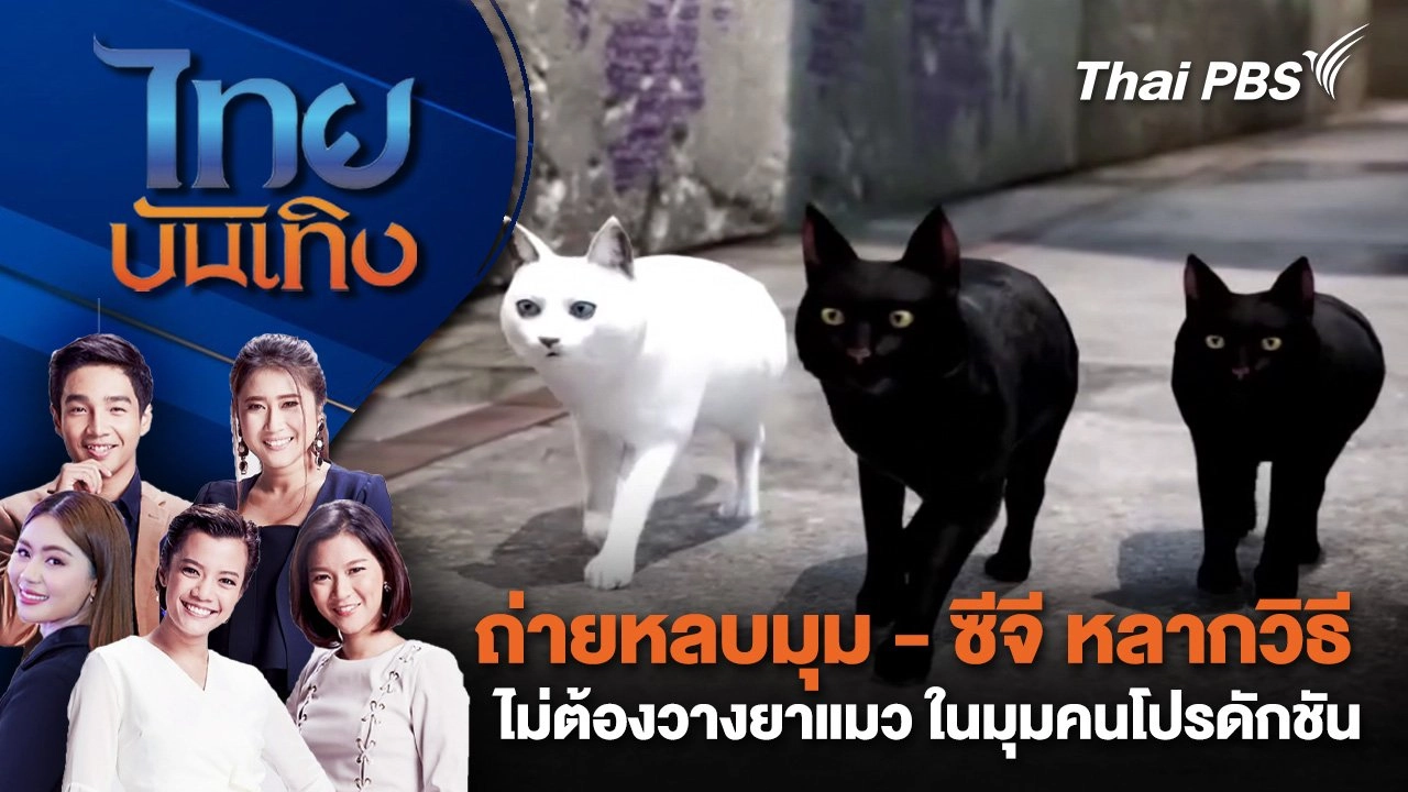 ถ่ายหลบมุม - ซีจี หลากวิธีไม่ต้องวางยาแมว ในมุมคนโปรดักชัน | ไทยบันเทิง | 10 พ.ย. 67