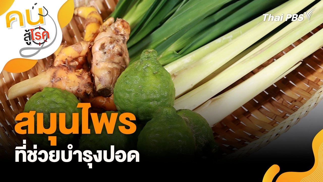 สมุนไพรที่ช่วยบำรุงปอด