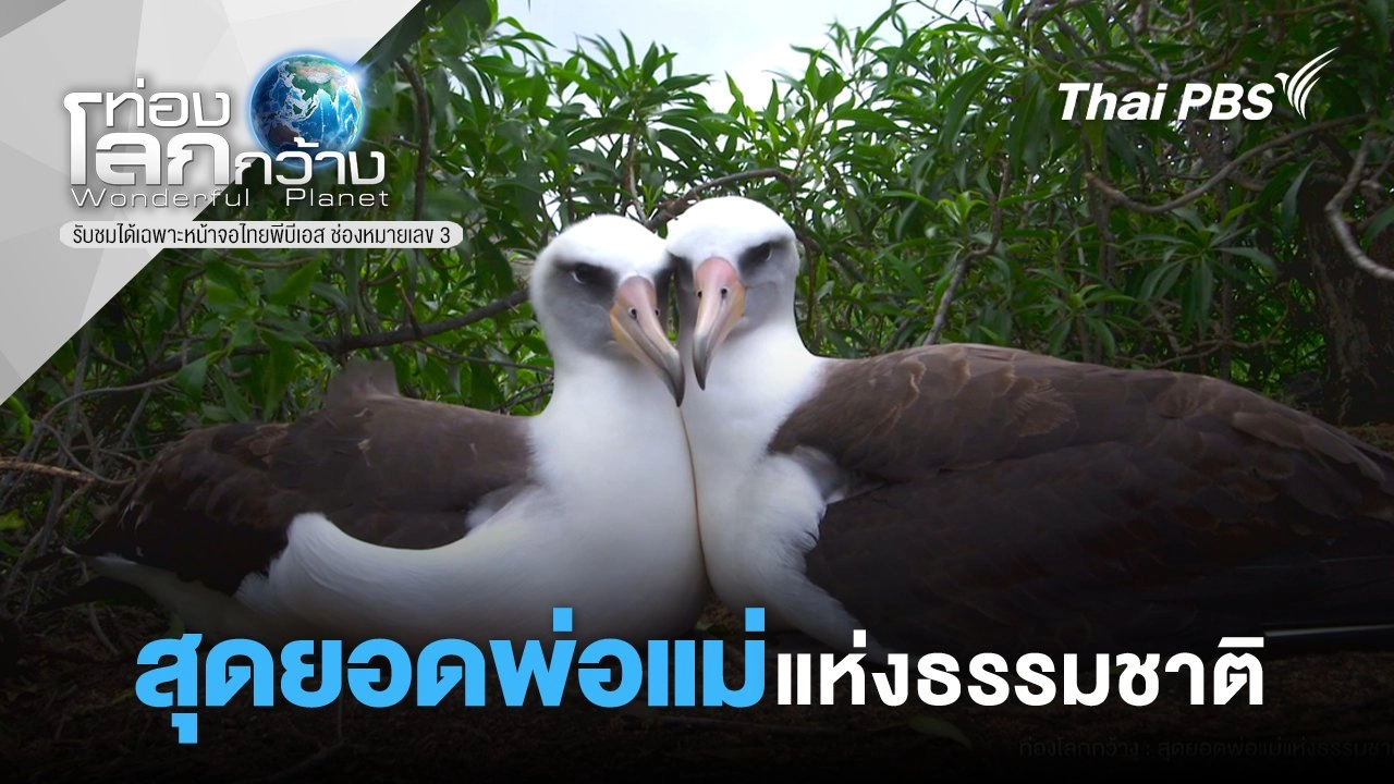 สุดยอดพ่อแม่แห่งธรรมชาติ