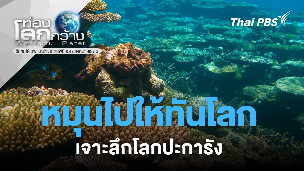 หมุนไปให้ทันโลก...เจาะลึกโลกปะการัง