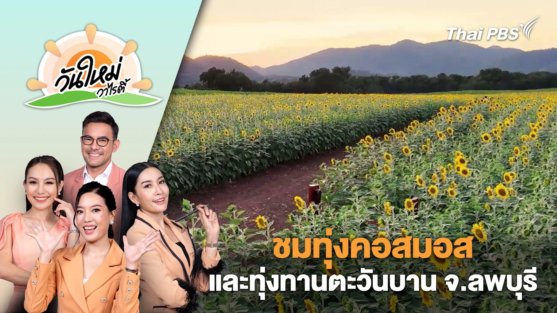 ชมทุ่งคอสมอส และทุ่งทานตะวันบาน จ.ลพบุรี | วันใหม่วาไรตี้ | 10 ธ.ค. 67
