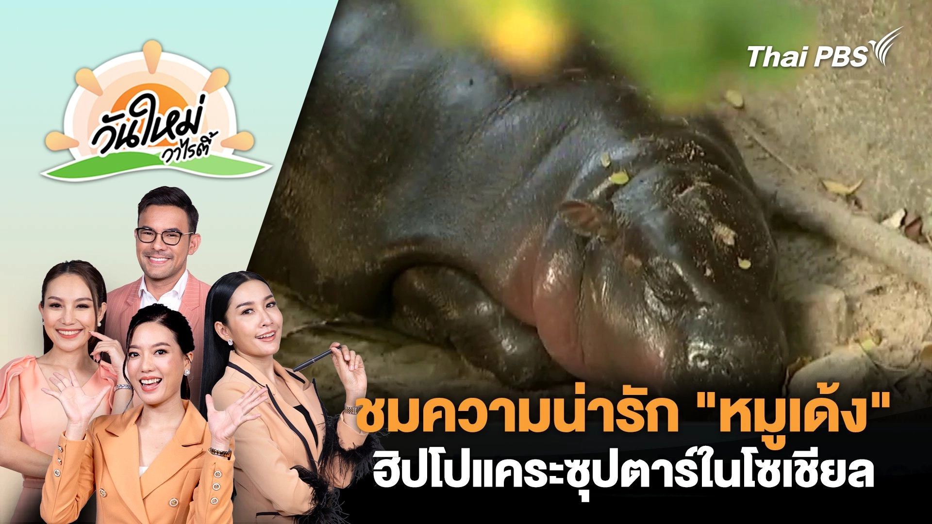 วันใหม่วาไรตี้