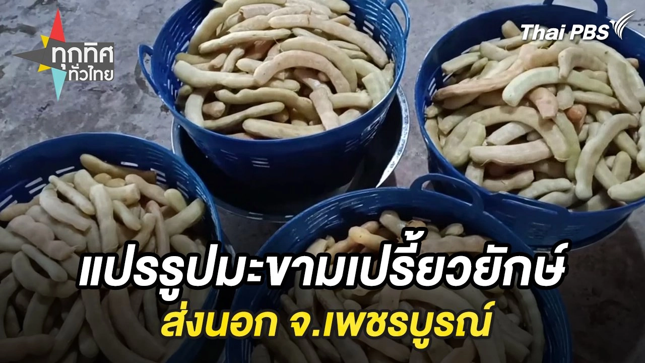 แปรรูปมะขามเปรี้ยวยักษ์ส่งนอก จ.เพชรบูรณ์