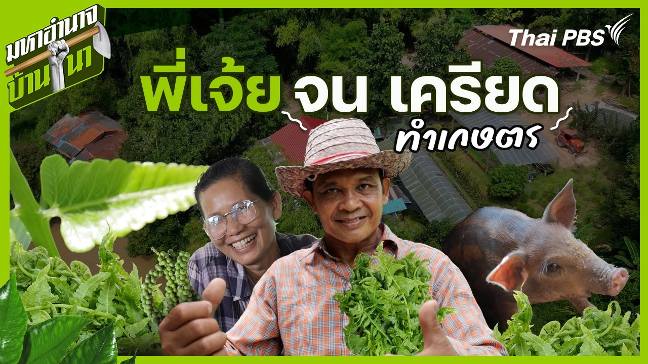 พี่เจ้ย จน เครียด ทำเกษตร