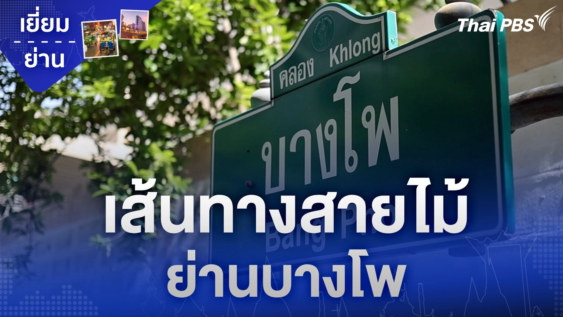 เส้นทางสายไม้ ย่านบางโพ