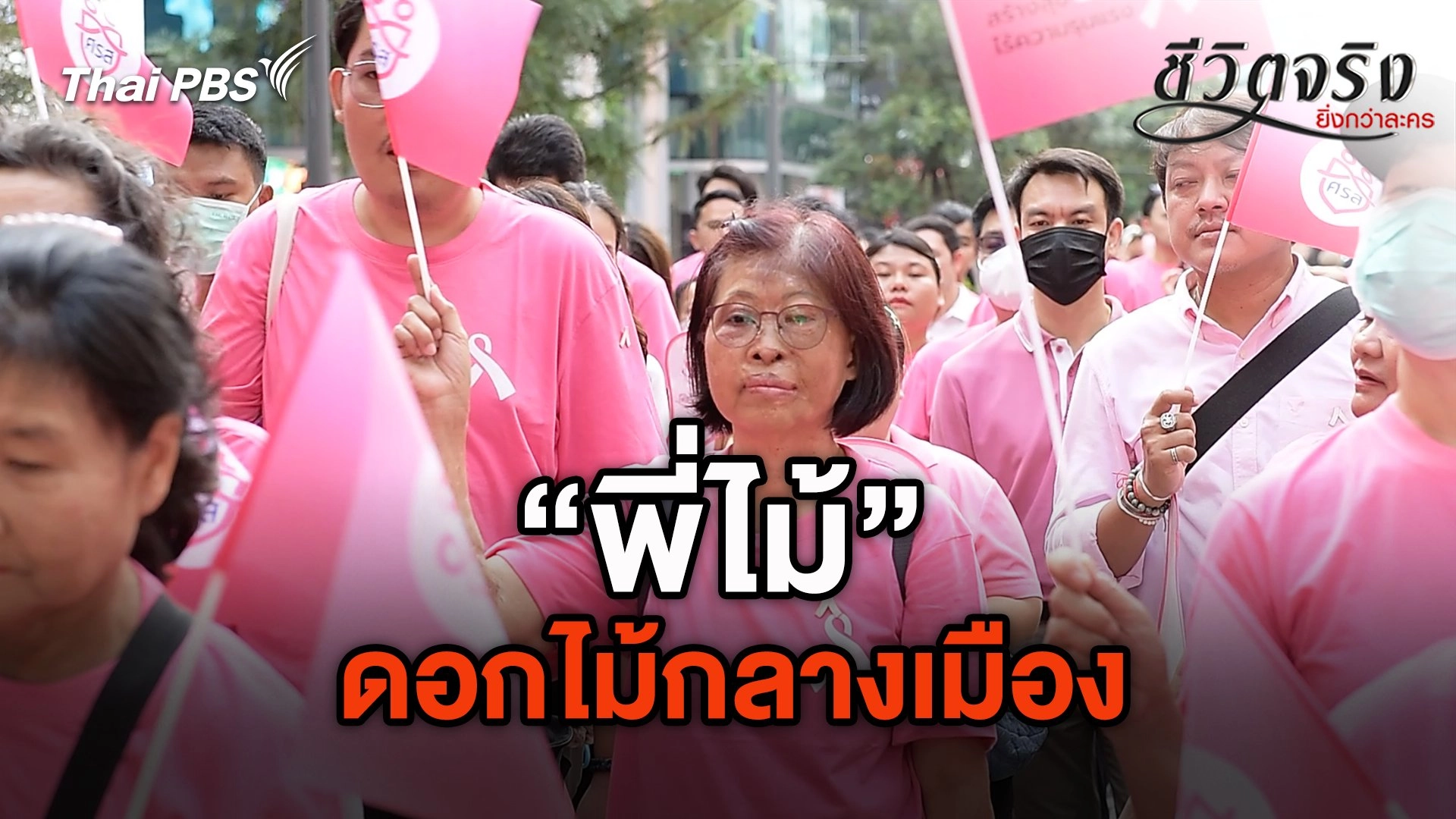 ดอกไม้กลางเมือง