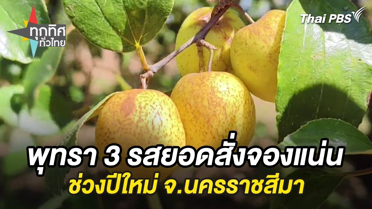 พุทรา 3 รสยอดสั่งจองแน่นช่วงปีใหม่ จ.นครราชสีมา